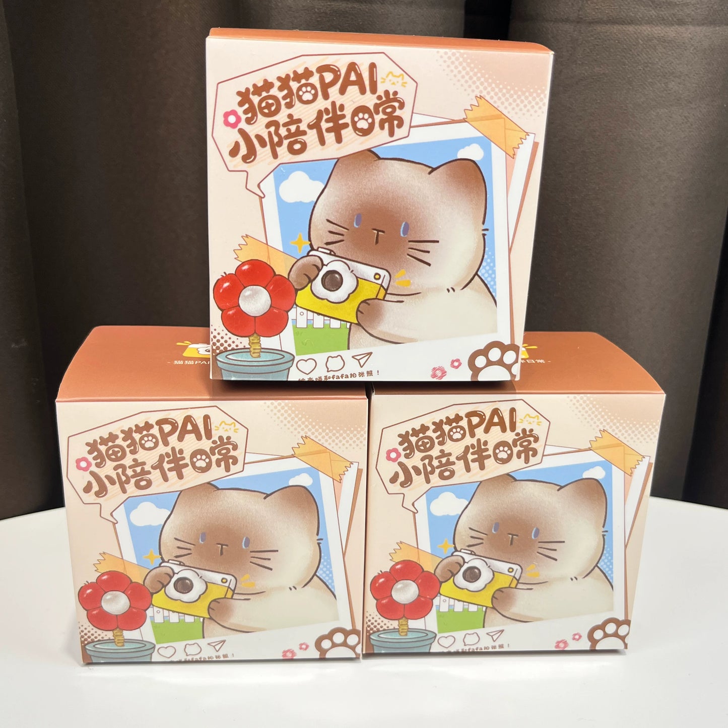 Cat PAI Little Companion Series Mini Blind Box
